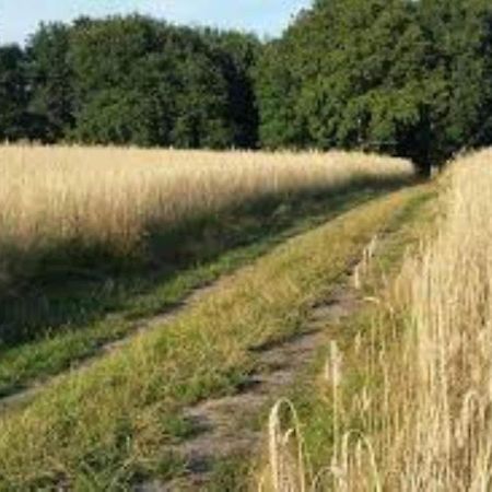 Holiday Home Heeresteeg In Nieuwleusen With Garden De Meele エクステリア 写真